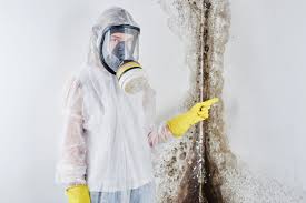  Hampton Manor, NY Mold Removal Pros